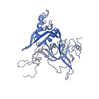 10377_6t4q_LB_v1-2
Structure of yeast 80S ribosome stalled on the CGA-CCG inhibitory codon combination.
