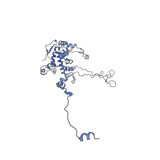 10377_6t4q_LC_v1-2
Structure of yeast 80S ribosome stalled on the CGA-CCG inhibitory codon combination.