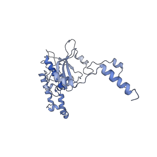 10377_6t4q_LD_v1-2
Structure of yeast 80S ribosome stalled on the CGA-CCG inhibitory codon combination.