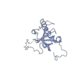 10377_6t4q_LE_v1-2
Structure of yeast 80S ribosome stalled on the CGA-CCG inhibitory codon combination.