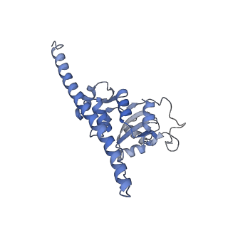 10377_6t4q_LF_v1-2
Structure of yeast 80S ribosome stalled on the CGA-CCG inhibitory codon combination.