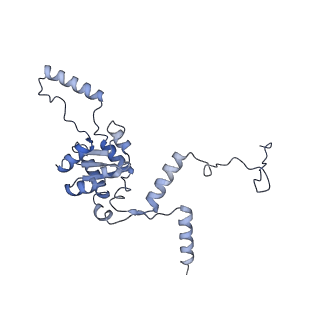 10377_6t4q_LG_v1-2
Structure of yeast 80S ribosome stalled on the CGA-CCG inhibitory codon combination.