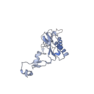 10377_6t4q_LI_v1-2
Structure of yeast 80S ribosome stalled on the CGA-CCG inhibitory codon combination.
