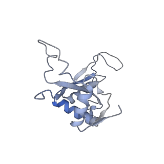 10377_6t4q_LJ_v1-2
Structure of yeast 80S ribosome stalled on the CGA-CCG inhibitory codon combination.