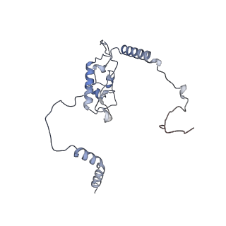 10377_6t4q_LL_v1-2
Structure of yeast 80S ribosome stalled on the CGA-CCG inhibitory codon combination.