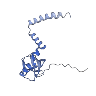 10377_6t4q_LM_v1-2
Structure of yeast 80S ribosome stalled on the CGA-CCG inhibitory codon combination.