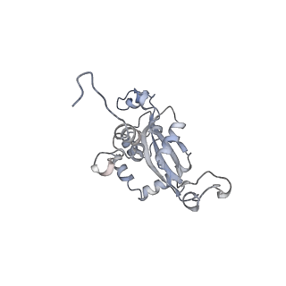 10377_6t4q_LN_v1-2
Structure of yeast 80S ribosome stalled on the CGA-CCG inhibitory codon combination.