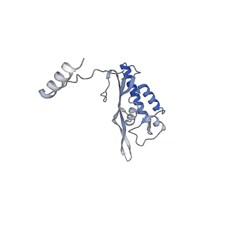 10377_6t4q_LP_v1-2
Structure of yeast 80S ribosome stalled on the CGA-CCG inhibitory codon combination.
