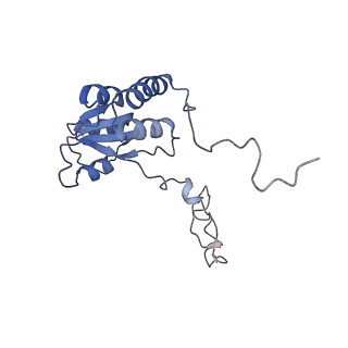 10377_6t4q_LQ_v1-2
Structure of yeast 80S ribosome stalled on the CGA-CCG inhibitory codon combination.