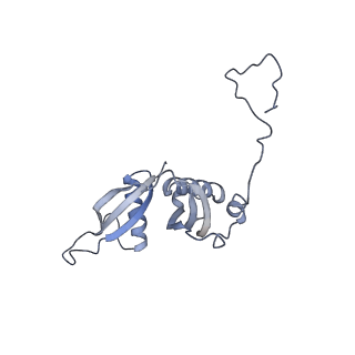 10377_6t4q_LS_v1-2
Structure of yeast 80S ribosome stalled on the CGA-CCG inhibitory codon combination.