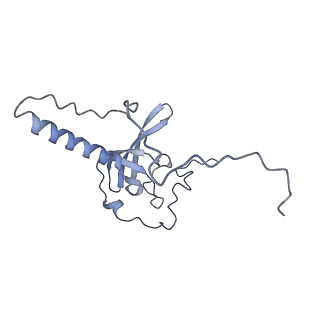 10377_6t4q_LT_v1-2
Structure of yeast 80S ribosome stalled on the CGA-CCG inhibitory codon combination.