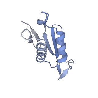 10377_6t4q_LU_v1-2
Structure of yeast 80S ribosome stalled on the CGA-CCG inhibitory codon combination.