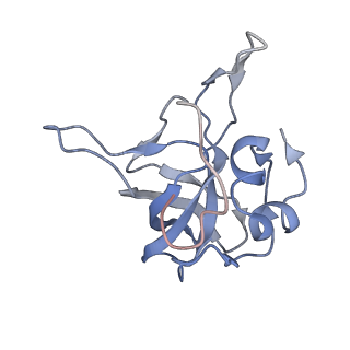 10377_6t4q_LV_v1-2
Structure of yeast 80S ribosome stalled on the CGA-CCG inhibitory codon combination.