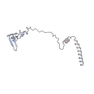 10377_6t4q_LW_v1-2
Structure of yeast 80S ribosome stalled on the CGA-CCG inhibitory codon combination.