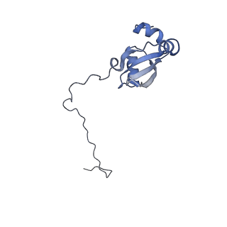 10377_6t4q_LX_v1-2
Structure of yeast 80S ribosome stalled on the CGA-CCG inhibitory codon combination.