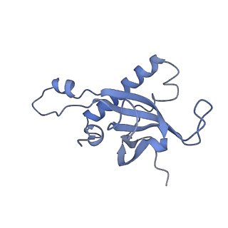 10377_6t4q_LZ_v1-2
Structure of yeast 80S ribosome stalled on the CGA-CCG inhibitory codon combination.