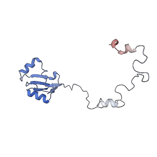 10377_6t4q_La_v1-2
Structure of yeast 80S ribosome stalled on the CGA-CCG inhibitory codon combination.