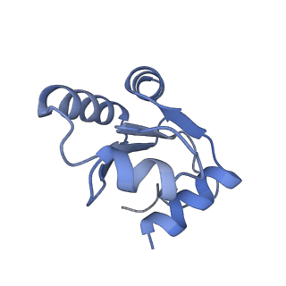 10377_6t4q_Lc_v1-2
Structure of yeast 80S ribosome stalled on the CGA-CCG inhibitory codon combination.