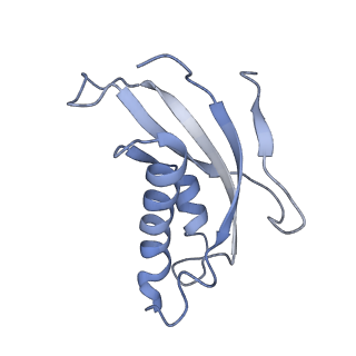 10377_6t4q_Ld_v1-2
Structure of yeast 80S ribosome stalled on the CGA-CCG inhibitory codon combination.