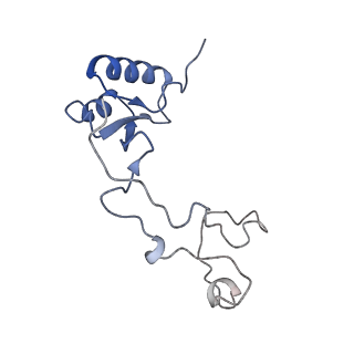 10377_6t4q_Le_v1-2
Structure of yeast 80S ribosome stalled on the CGA-CCG inhibitory codon combination.