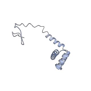10377_6t4q_Li_v1-2
Structure of yeast 80S ribosome stalled on the CGA-CCG inhibitory codon combination.
