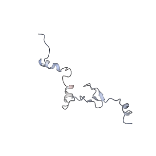 10377_6t4q_Lj_v1-2
Structure of yeast 80S ribosome stalled on the CGA-CCG inhibitory codon combination.