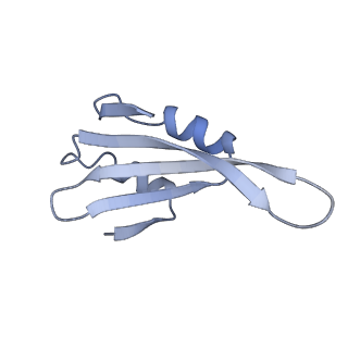 10377_6t4q_Lk_v1-2
Structure of yeast 80S ribosome stalled on the CGA-CCG inhibitory codon combination.