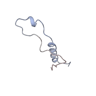10377_6t4q_Ll_v1-2
Structure of yeast 80S ribosome stalled on the CGA-CCG inhibitory codon combination.