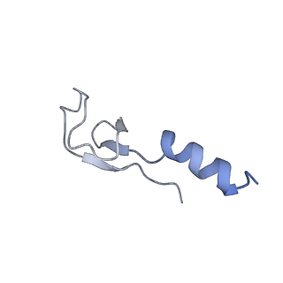 10377_6t4q_Lm_v1-2
Structure of yeast 80S ribosome stalled on the CGA-CCG inhibitory codon combination.