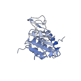 10377_6t4q_SA_v1-2
Structure of yeast 80S ribosome stalled on the CGA-CCG inhibitory codon combination.