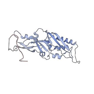 10377_6t4q_SB_v1-2
Structure of yeast 80S ribosome stalled on the CGA-CCG inhibitory codon combination.