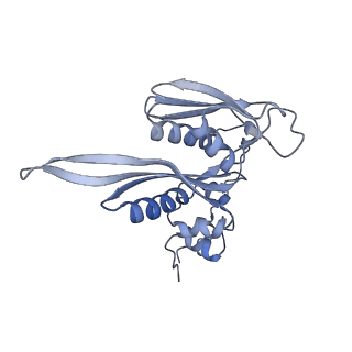 10377_6t4q_SC_v1-2
Structure of yeast 80S ribosome stalled on the CGA-CCG inhibitory codon combination.