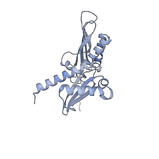 10377_6t4q_SD_v1-2
Structure of yeast 80S ribosome stalled on the CGA-CCG inhibitory codon combination.