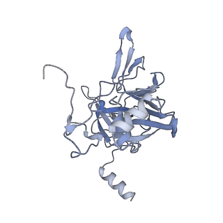 10377_6t4q_SE_v1-2
Structure of yeast 80S ribosome stalled on the CGA-CCG inhibitory codon combination.