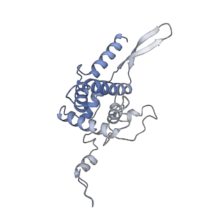 10377_6t4q_SF_v1-2
Structure of yeast 80S ribosome stalled on the CGA-CCG inhibitory codon combination.