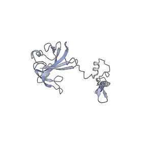 10377_6t4q_SG_v1-2
Structure of yeast 80S ribosome stalled on the CGA-CCG inhibitory codon combination.