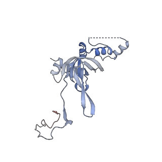 10377_6t4q_SI_v1-2
Structure of yeast 80S ribosome stalled on the CGA-CCG inhibitory codon combination.