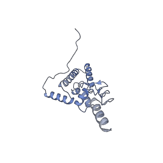 10377_6t4q_SJ_v1-2
Structure of yeast 80S ribosome stalled on the CGA-CCG inhibitory codon combination.