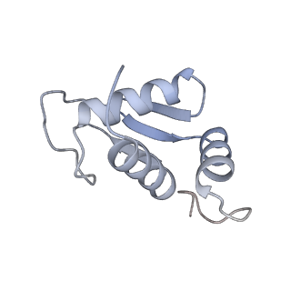 10377_6t4q_SK_v1-2
Structure of yeast 80S ribosome stalled on the CGA-CCG inhibitory codon combination.