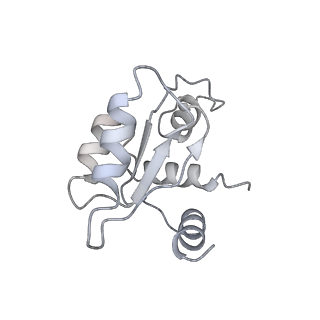 10377_6t4q_SM_v1-2
Structure of yeast 80S ribosome stalled on the CGA-CCG inhibitory codon combination.