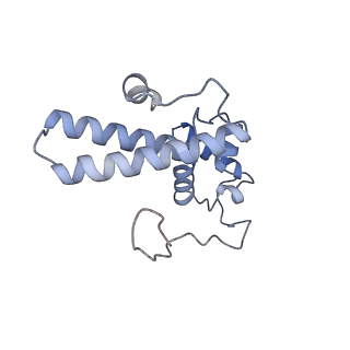 10377_6t4q_SN_v1-2
Structure of yeast 80S ribosome stalled on the CGA-CCG inhibitory codon combination.