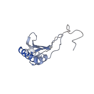 10377_6t4q_SO_v1-2
Structure of yeast 80S ribosome stalled on the CGA-CCG inhibitory codon combination.