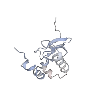 10377_6t4q_SP_v1-2
Structure of yeast 80S ribosome stalled on the CGA-CCG inhibitory codon combination.