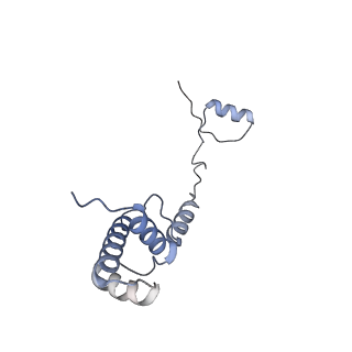 10377_6t4q_SR_v1-2
Structure of yeast 80S ribosome stalled on the CGA-CCG inhibitory codon combination.