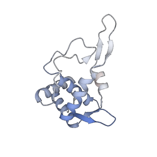 10377_6t4q_ST_v1-2
Structure of yeast 80S ribosome stalled on the CGA-CCG inhibitory codon combination.