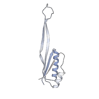 10377_6t4q_SU_v1-2
Structure of yeast 80S ribosome stalled on the CGA-CCG inhibitory codon combination.