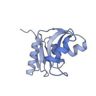 10377_6t4q_SW_v1-2
Structure of yeast 80S ribosome stalled on the CGA-CCG inhibitory codon combination.