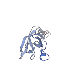 10377_6t4q_SX_v1-2
Structure of yeast 80S ribosome stalled on the CGA-CCG inhibitory codon combination.