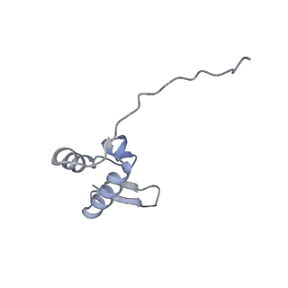 10377_6t4q_SZ_v1-2
Structure of yeast 80S ribosome stalled on the CGA-CCG inhibitory codon combination.