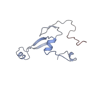 10377_6t4q_Sa_v1-2
Structure of yeast 80S ribosome stalled on the CGA-CCG inhibitory codon combination.